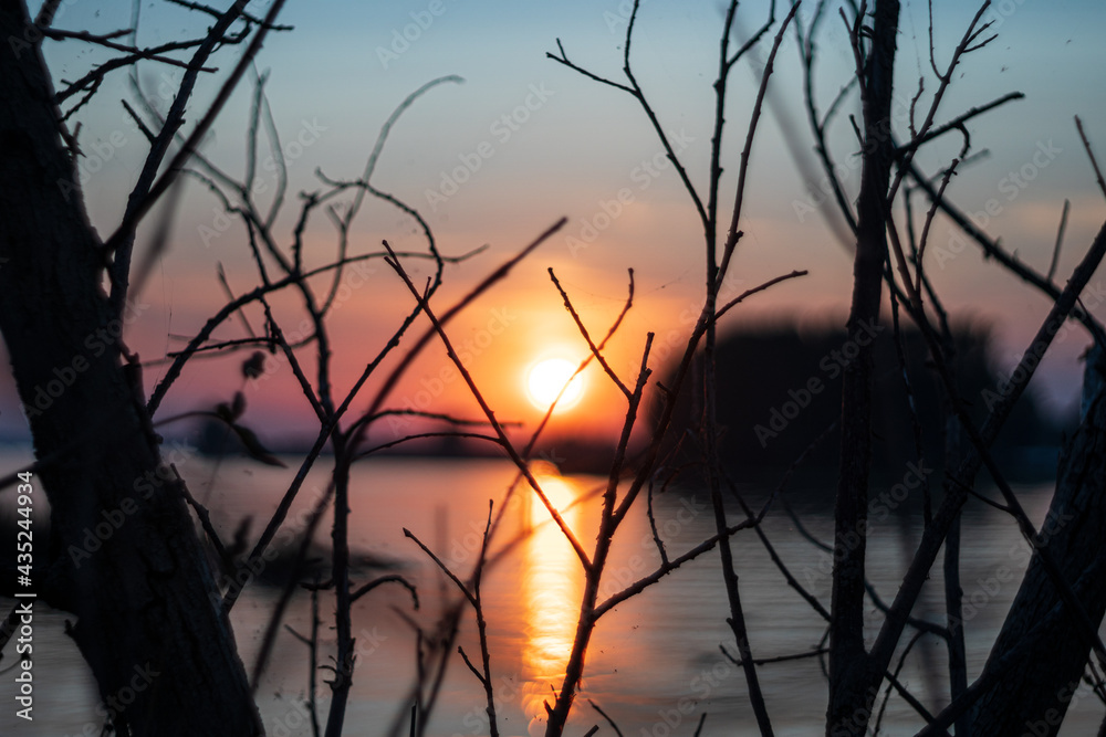 Fototapeta premium sunset on the lake