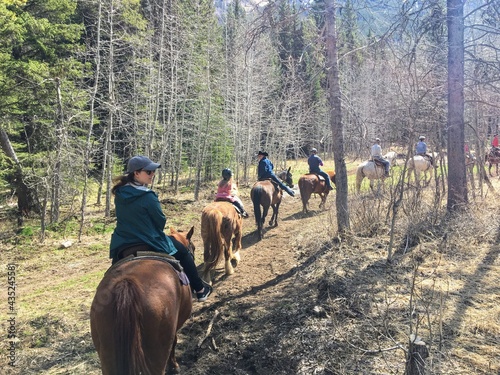 A group of people riding horses during a guided tour in the forests of Kananaskis, in the Rocky Mountains, Alberta, Canada.