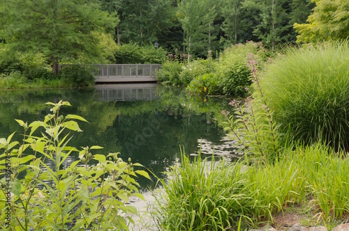 Bridge Across Pond, Bordered by Plants