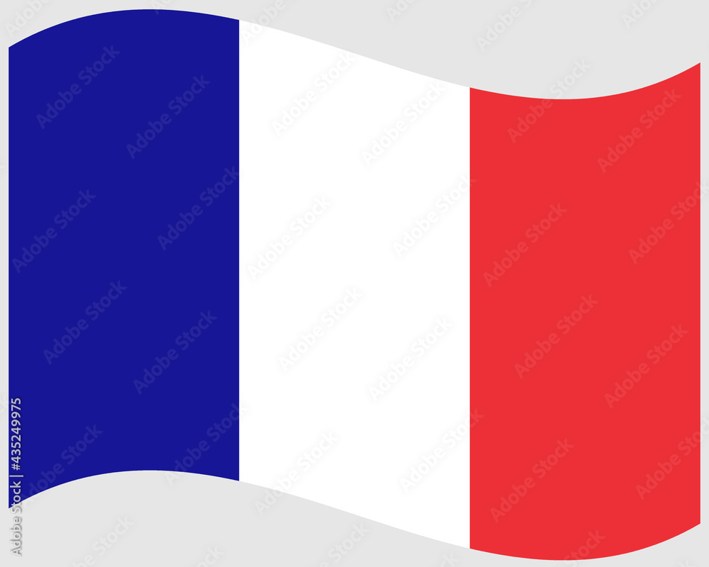 waving flag of France