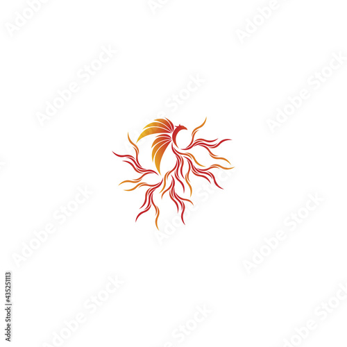 Phoenix flying fire bird vector abstract logo icon design template