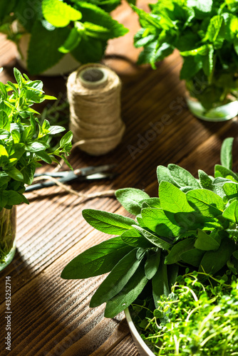 Mixed Fresh Herbs From Herb Garden for Drying or Seasoning