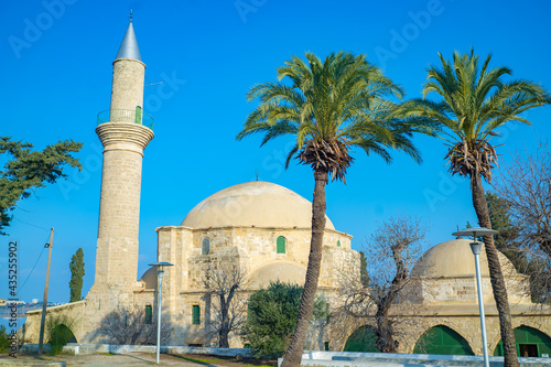  Hala Sultan Tekke at Larnaca Salt lake, Cyprus photo