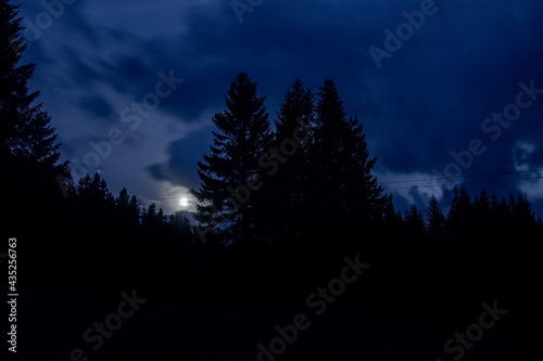 Silhouette of a night forest with the shining full moon.