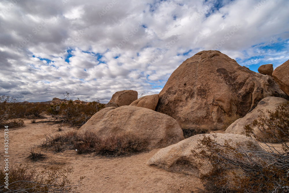 Joshua Tree National Park, CA, USA - December 30, 2012: Group of large and small brown boulders behind dried shrub on sand under thick white cloudscape with few blue patches.