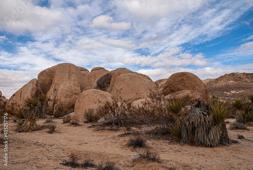 Joshua Tree National Park, CA, USA - December 30, 2012: Group of boulders and Mojave Yucca cacti on sand under thick whie cloudscape with few blue patches.