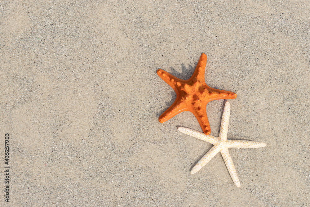 Starfish on the beach with copy space top view. Concept summer season on tropical beach Starfish on the beach with copy space top view. Concept summer season on tropical beach