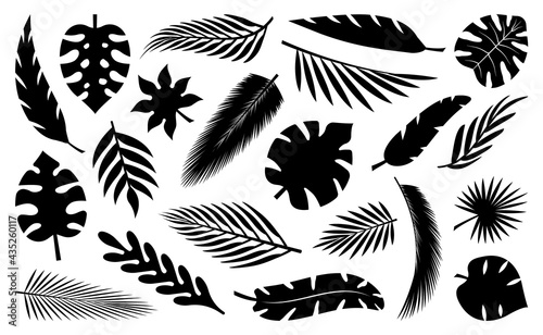 Set of tropical leaves silhouettes. Collection palm leaves. Jungle exotic leaves and botanical plants. Vector illustration.