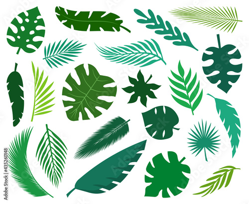 Set of tropical leaves silhouettes. Collection palm leaves. Jungle exotic leaves and botanical plants. Vector illustration.