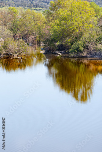 Landscape of lake with trees reflected in the river