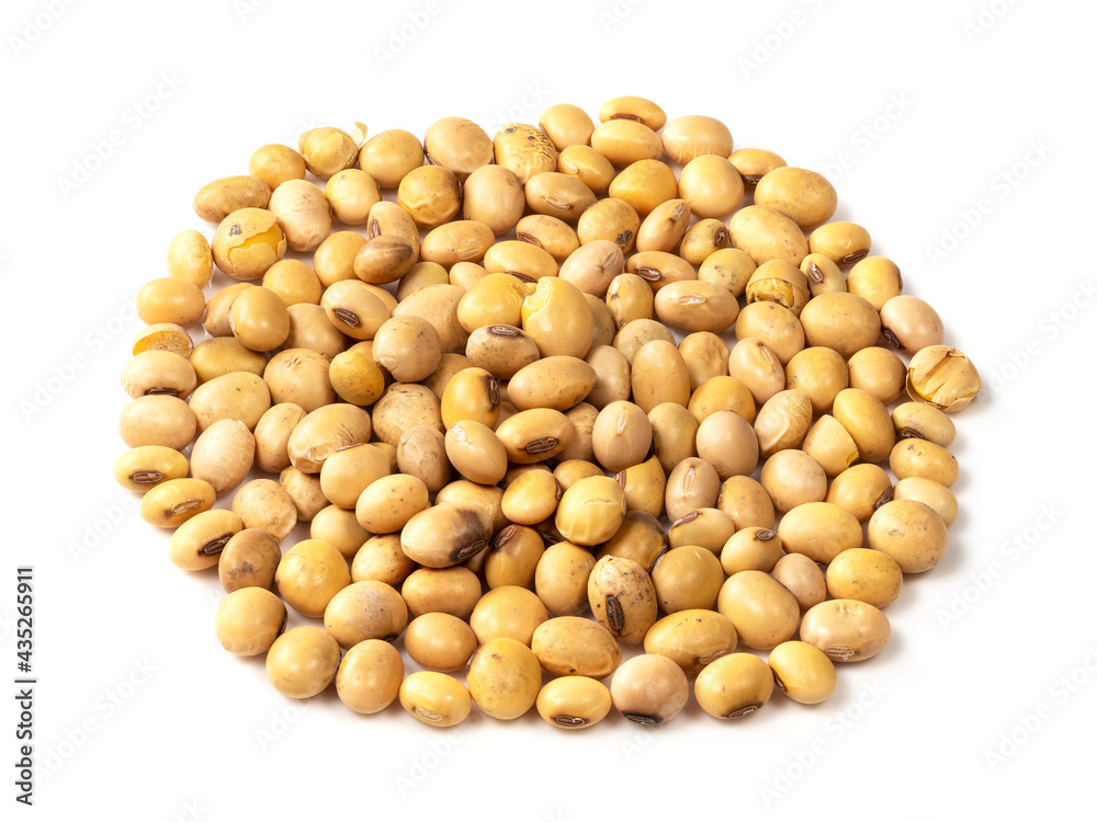 pile of dried soybeans closeup on white pile of dried soybeans closeup on white