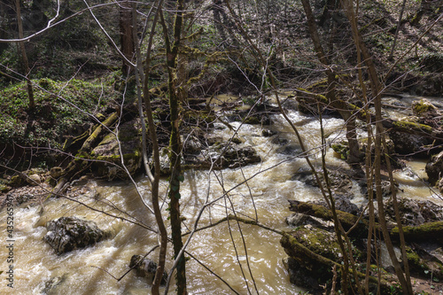 "Spring, mountain streams overflowing with meltwater.