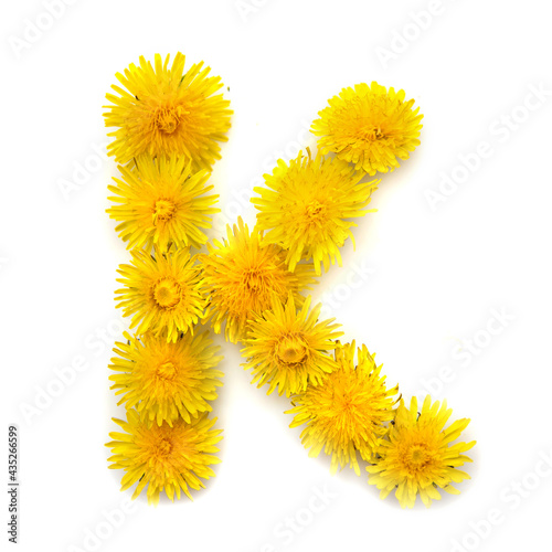 The letter K of yellow dandelions