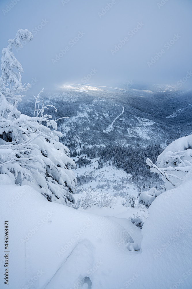 Obraz premium in the mountains