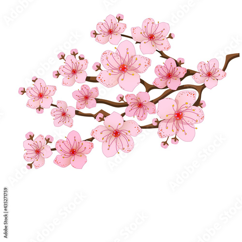 branch tree vector illustration summer clipart autumn clipart nature forest, Background cherry blossom spring flower Japan, Branch of blooming sakura with flowers, cherry blossom