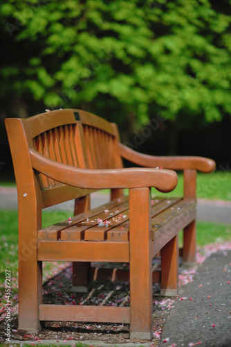 wooden bench in the park