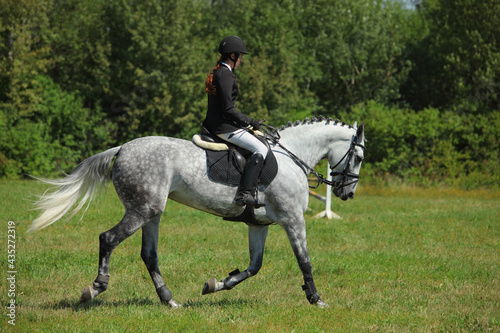 Equestrian model girl riding sportive dressage horse in summer fields © horsemen