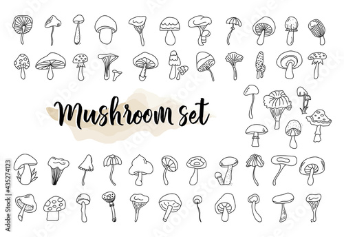50 MUSHROOMS clipart, fungus set, mushroom vector, fungi silhouette, print file, mushroom organic clipart