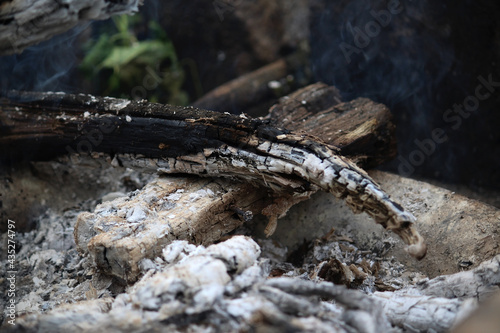 charcoal firewood in the forest, ash of burnt stick, nature 