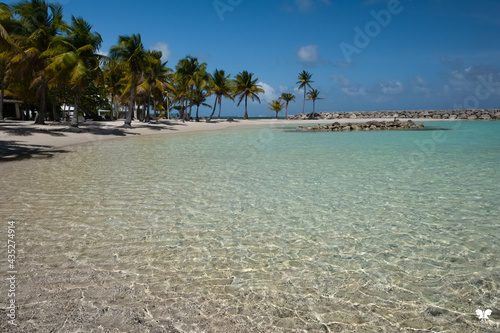Fototapeta Naklejka Na Ścianę i Meble -  Guadeloupe Beach