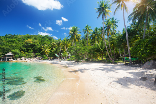tropical beach with coconut palm tree © Alexander Ozerov