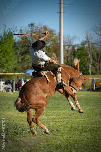 Argentine culture sport. Dressage of horses. Entre Ríos, Argentina.