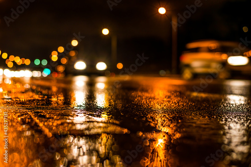 Rainy night in the big city, highway passing through a forest in the city park. View from the level of asphalt