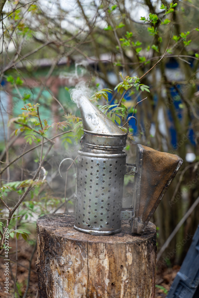 Fototapeta premium Bee smoker - smoke coming out of the equipment