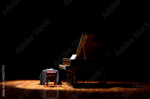 Принти на полотні Musical instrument