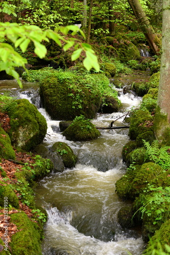Kleiner Wasserfall im frühlingshaften Laubwald