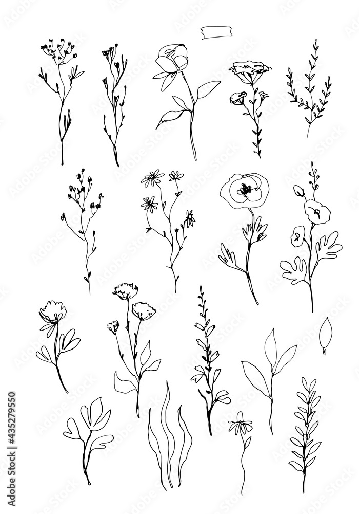 Line art pink blue gold flower stem clipart, Wildflowers greenery wedding invitation, Outline green leaves, line art floral clip art Line art pink blue gold flower stem clipart, Wildflowers greenery wedding invitation, Outline green leaves, line art floral clip art