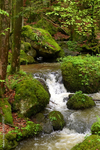 Kleiner Wasserfall im fr  hlingshaften Laubwald