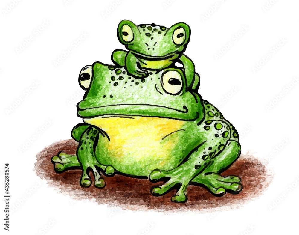 Obraz premium The Frog drawing is made with colored pencils and black liner