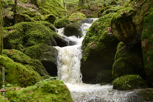 Kleiner Wasserfall im fr  hlingshaften Laubwald