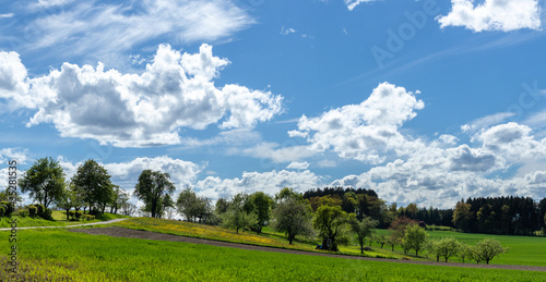 Oberschwäbische Kulturlandschaft mit Wiesen Feldern, Streuobstwiese und Wolkenhimmel © Bruno Mader