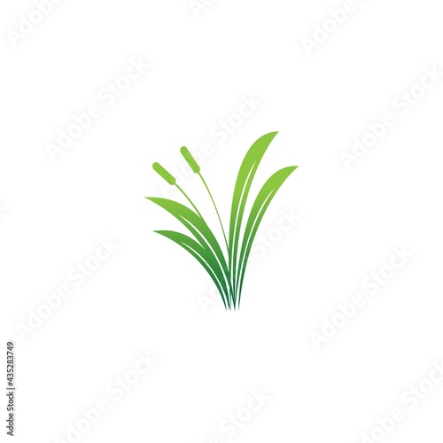 Natural Grass icon logo design vector template