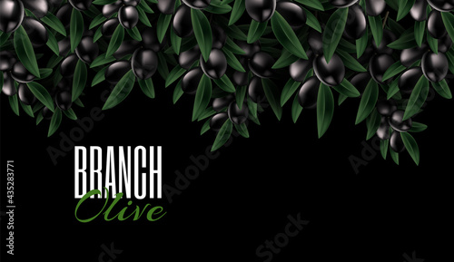 Natural nature on dark background. Vector pattern with ripe black olives. Exotic leaf texture. Realistic Leaf. Banner olive oil. Advertising card or invitation. Place for text.