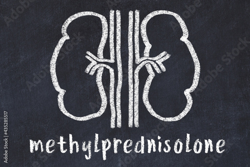 Chalk drawing of human kidneys and medical term methylprednisolone. Concept of learning medicine photo