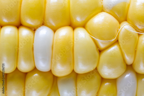 Closeup of corn kernels  photo