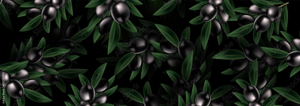 Vector pattern with ripe black olives on dark Background. design for banner olive oil, natural cosmetics, wrapping paper. Vector pattern with ripe black olives on dark Background. design for banner olive oil, natural cosmetics, wrapping paper.