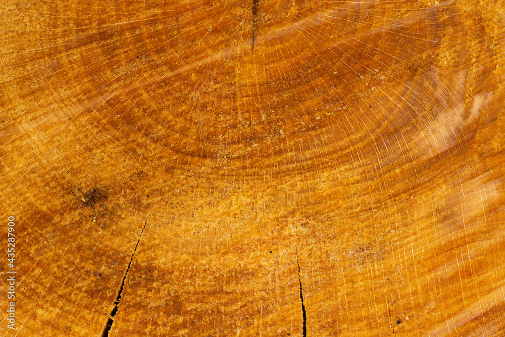 Naklejka premium texture of wood