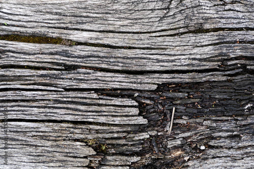 Naklejka premium Wooden texture