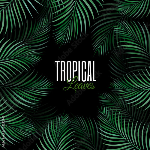 Realistic Leaf in a circle. Square frame of Natural Realistic Green Palm Leaf Tropical Jungle green leaves. Dark background and place for text. Blank for an advertising card or invitation.