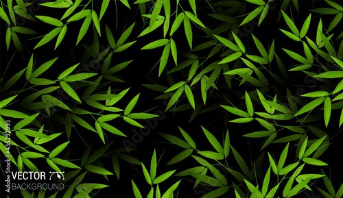 fresh green bamboo stems and leaves branches. Natural Realistic pattern leaf. Colorful dark background. Trendy repeat fashion print wallpaper or fabric. Abstract Design Element vector.