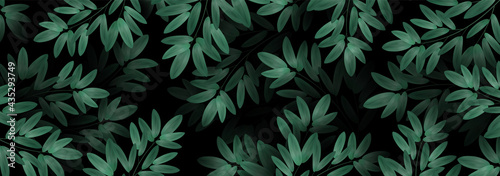Overgrown tree branches with fresh green leaves. Spring or summer nature Luxurious background. leafing a leaf of a plant on a dark background. Abstract Design Element for Banner.