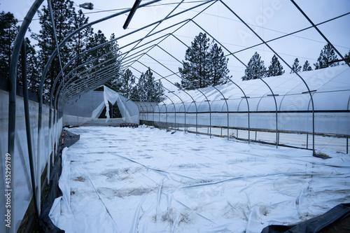 inside greenhouse angles