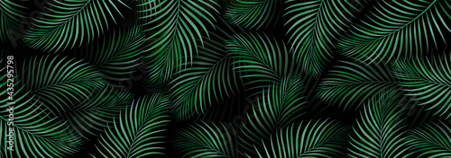 Luxury banner background. Exotic tropical palm leaves. hawaiian plants pattern. Spring or summer nature. Plant branches on a dark background. Promotional template. Design Element.
