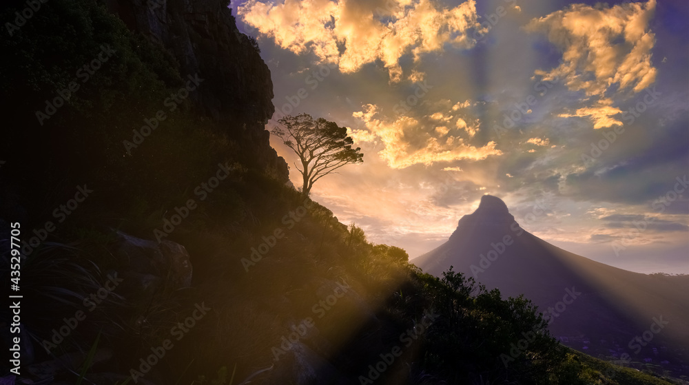 Fototapeta premium Silhouette sunset looking towards Lion's head from Table Mountain, Great outdoors adventure and travel holiday destination, Cape Town, South Africa