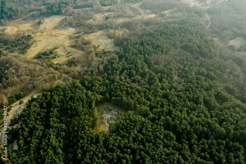 Aerial drone view of deforestation of a pine forest. Ecology concept change tree forest drought and forest refreshing.