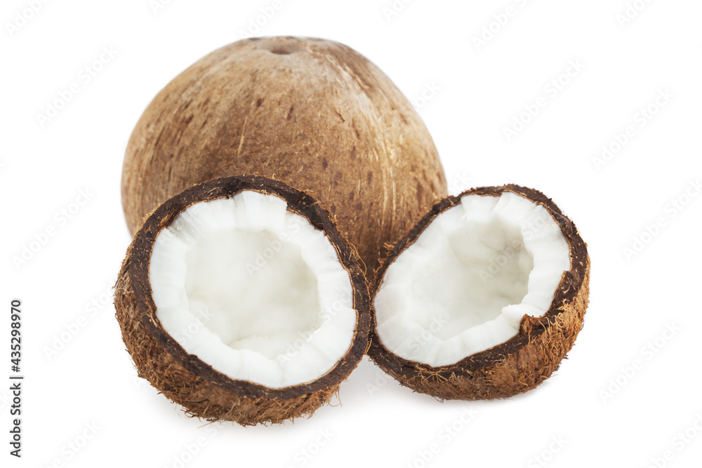 Coconuts Coconuts